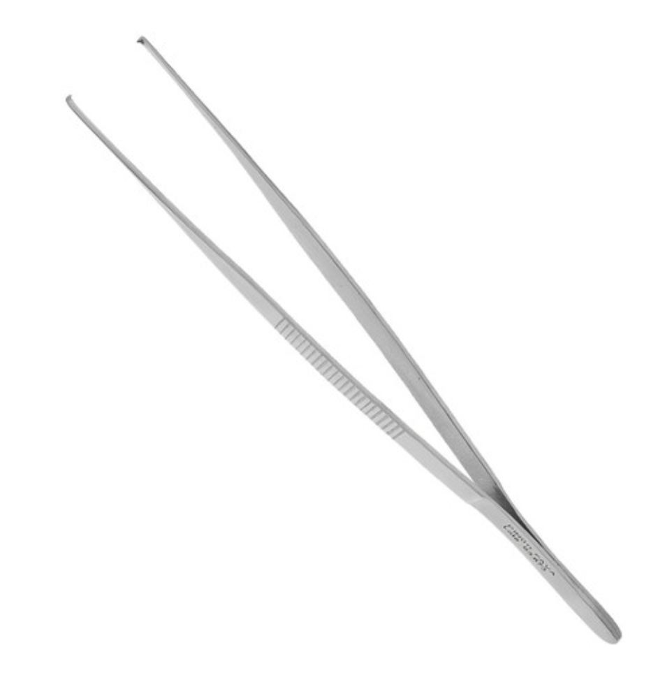 Pinca Anat C/Dent.14Cm Odontologico - Pin011/10