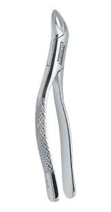 FORCEPS Nº 62 ADULTO GOLGRAN